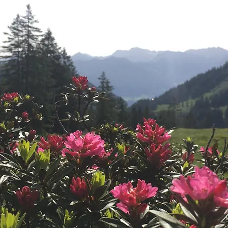 Appartement Auszeit - In Obermaiselstein